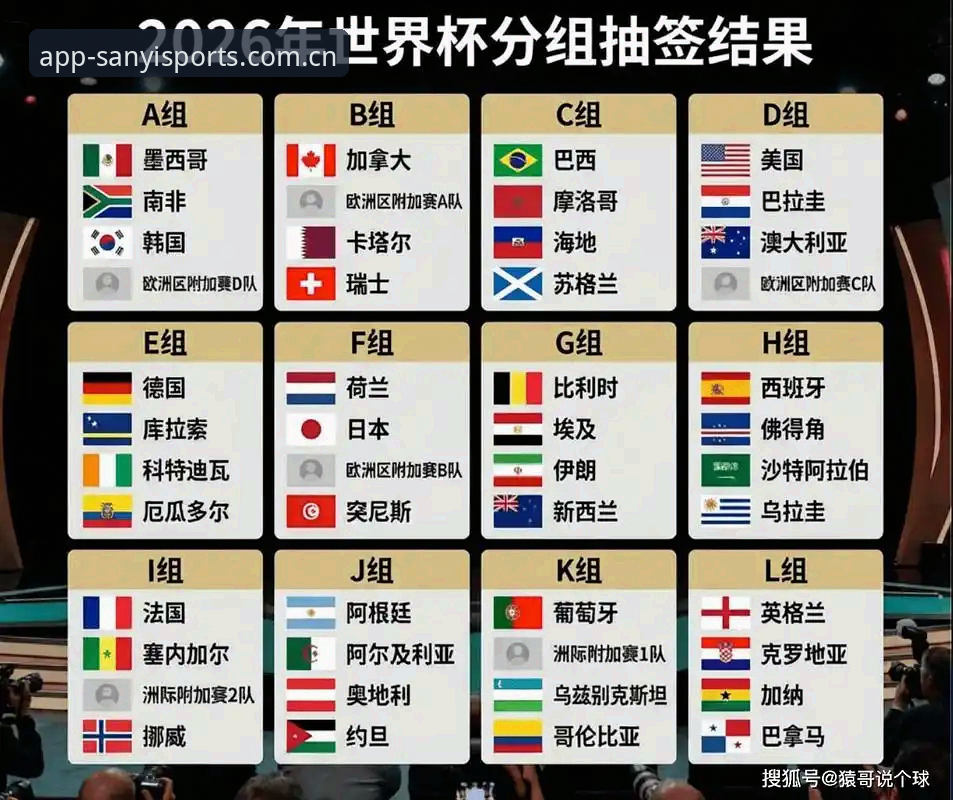 世界杯观赛vs签证困境：三亿体育平台对比分析赛事背后的政治博弈